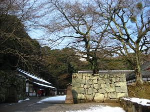 IMG_1747.JPG 2272x1704 2,949KB