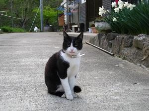 IMG_3188.JPG 2048x1536 1,236KB