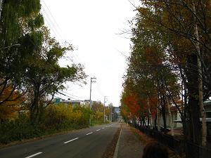 IMG_5480.JPG 3264x2448 4,100KB 