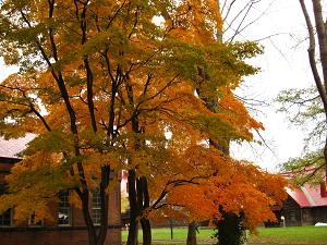 IMG_5482.JPG 3264x2448 5,216KB 