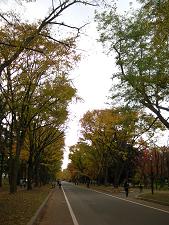IMG_5483.JPG 2448x3264 5,136KB 