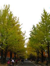 IMG_5484.JPG 2448x3264 4,185KB 