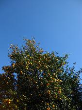 IMG_4331.JPG 2448x3264 4,178KB