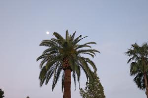 IMG_7270.JPG 5472x3648 4,182KB