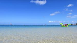 IMG_8192_hd.jpg 4000x2251 1,900KB 