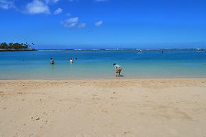 P1010908_hd.jpg 3999x2668 2,659KB 